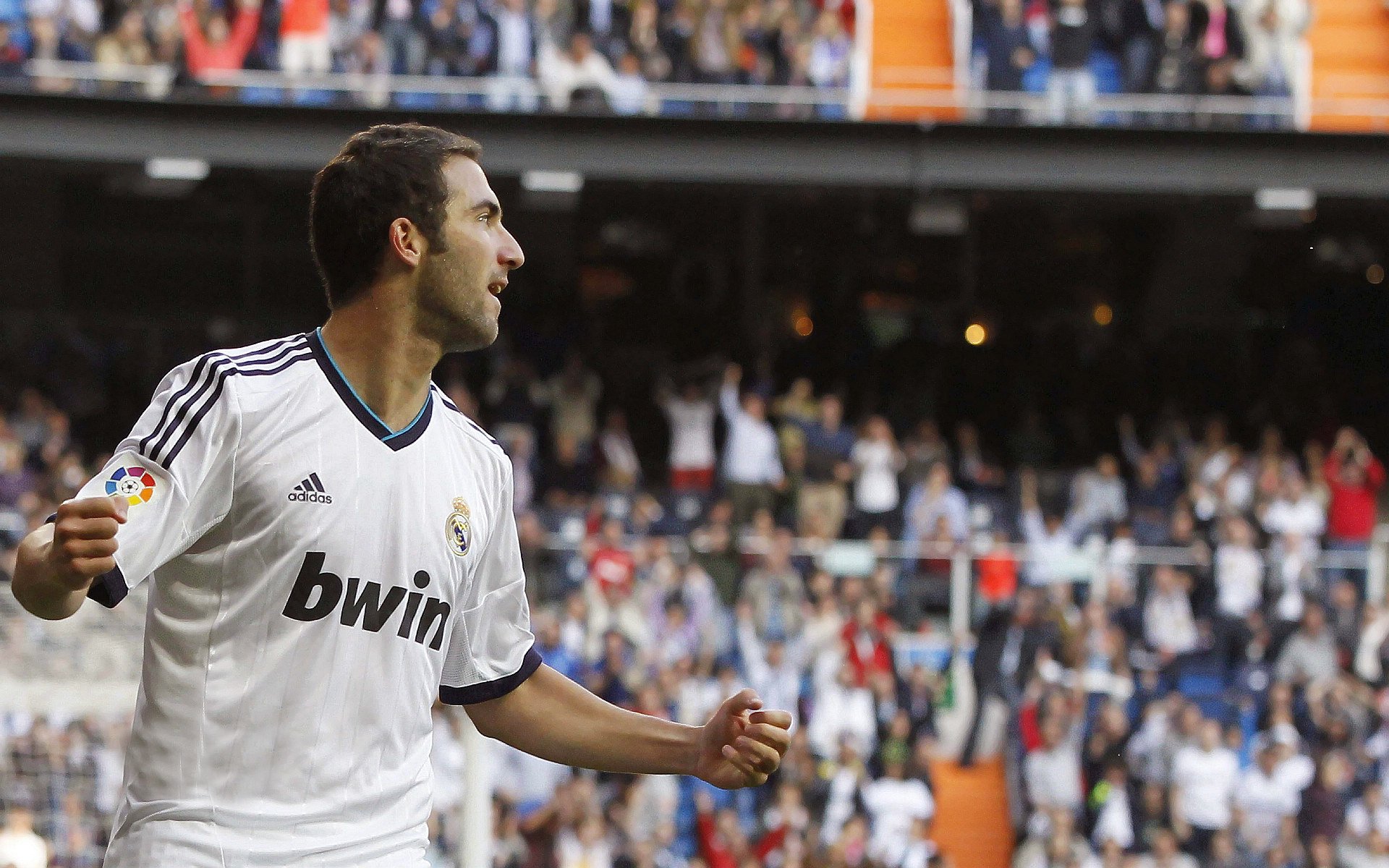 -未来之星：新援崭露头角引发期待，未来之星是干嘛的